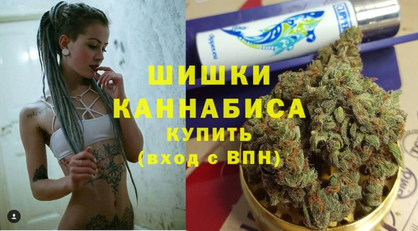 spice Снежногорск