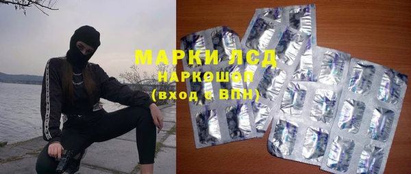 spice Снежногорск