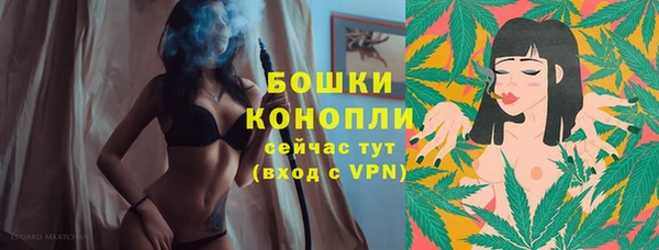 spice Снежногорск