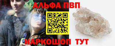 стаф Кинель
