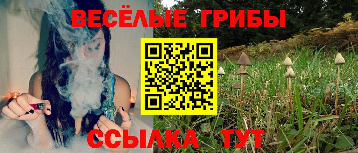 Псилоцибиновые грибы Psilocybe  Вход с VPN  Можайск 